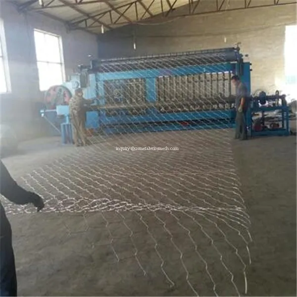 Small Bird Cage Wire Mesh/hexagonal Mesh Supplier For Middle East And