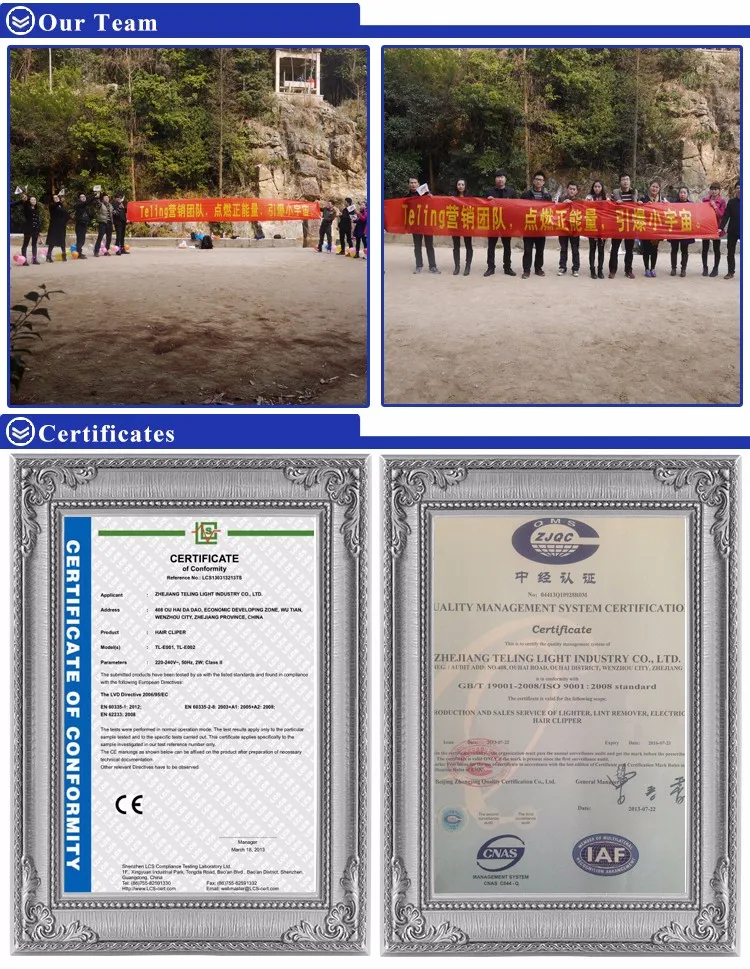 certificate and team.jpg