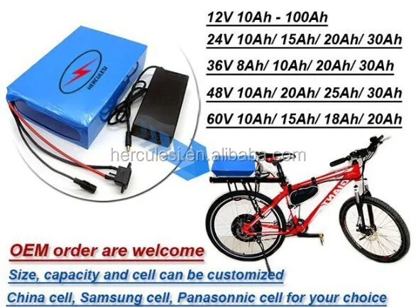 Li-ion Battery for electric bicycle e-bike 24V 10Ah with charger Lithium 