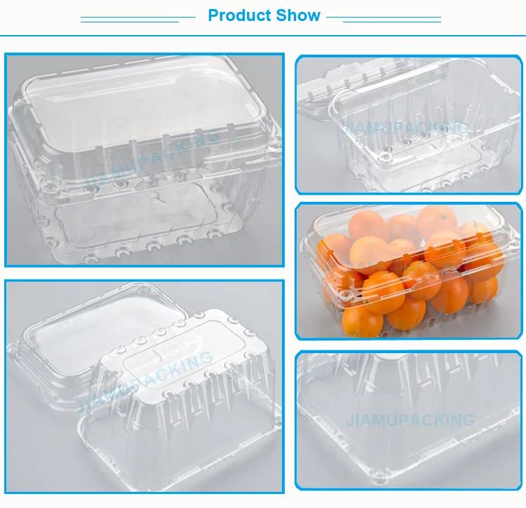 Wholesale Clear Plastic Fruit Clamshell Box Packaging Container
