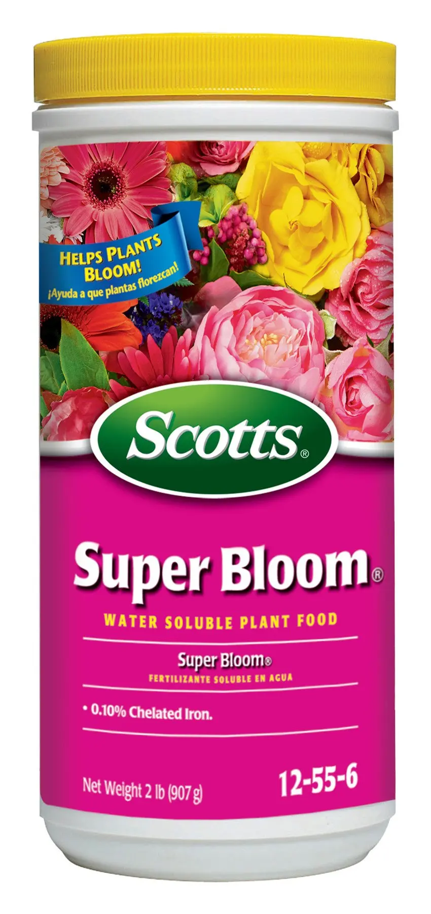 Buy Schultz Bloom Plus Water Soluble Plant Food 105410