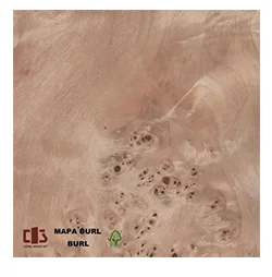 Loyalwood Factory Supply Rotary Cut White Ash Burl Veneer Natural Wood Face Veneer For Plywood