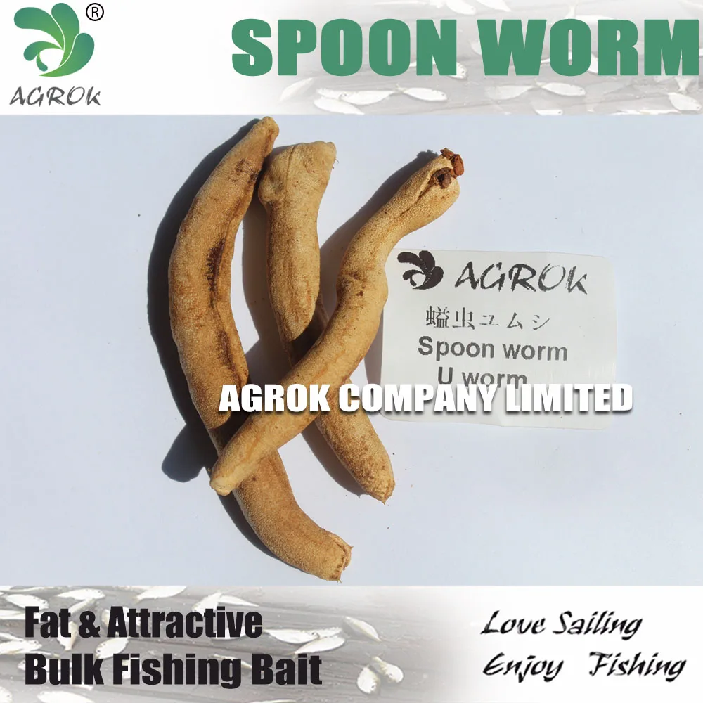 freeze dried worms, freeze dried worms Suppliers and Manufacturers at