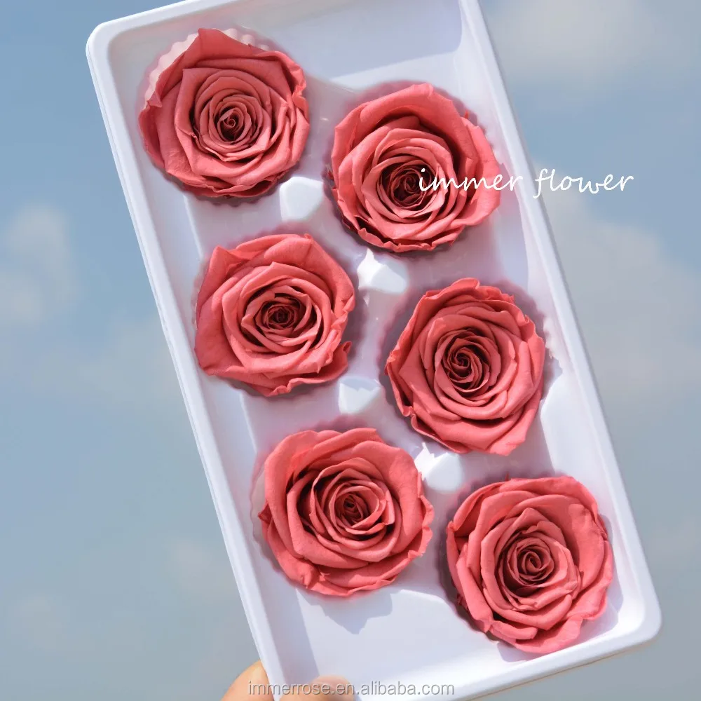 Vivid Preserved Rose Quality As Ecuadorian Rose Wholesale From China