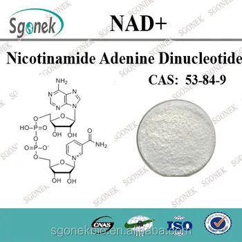 nicotinamide adenine dinucleotide / nad  / nadh