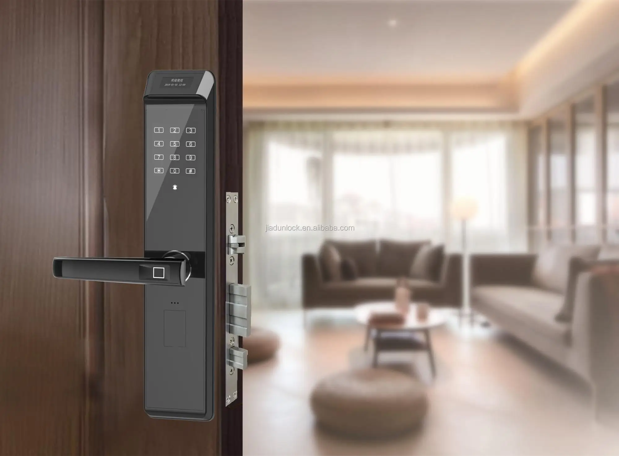 Умная дверь. Smart дверь. Smart Door дверь. Electronic Smart Door.