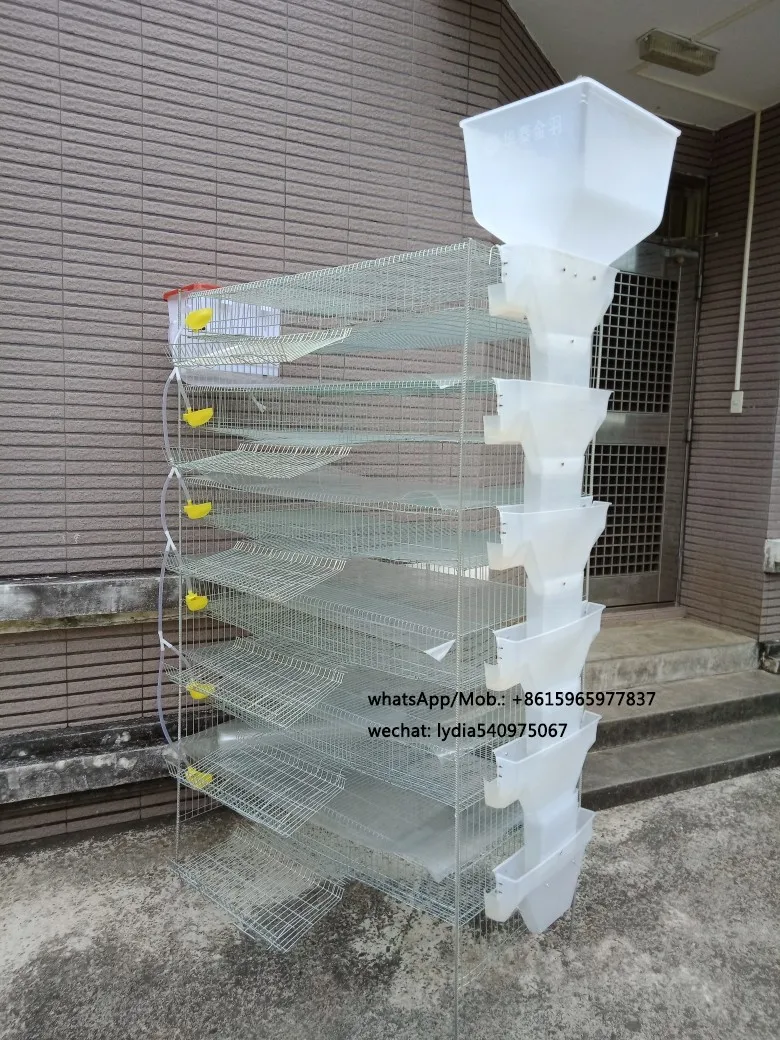 Zhenghang Quail Cages For Sale,High Quality Quail Cages For Egg
