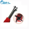 BFL-Solid Carbide Examples Manufactured Goods/CNC Cutting Tool