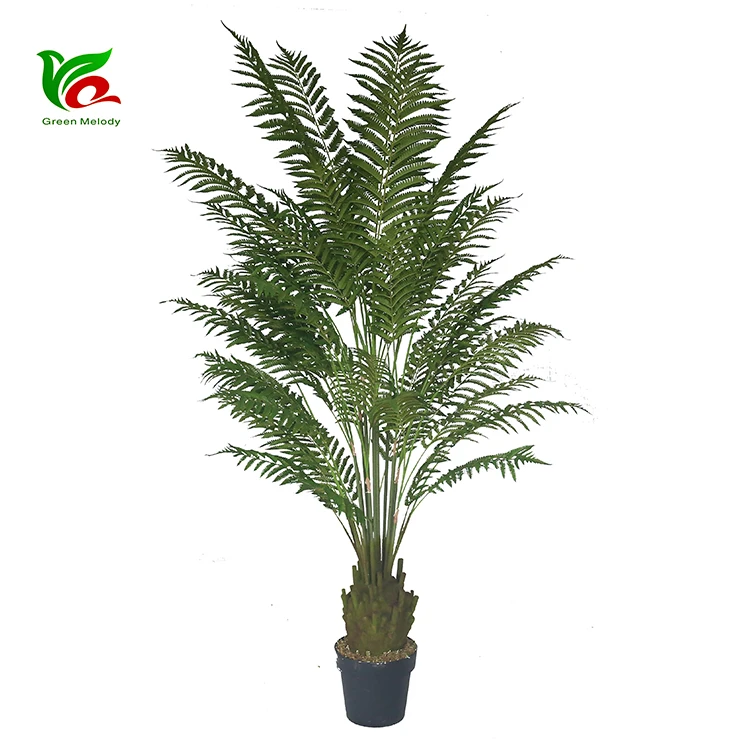 High Quality Life Size Palm Tree Artifical Cyatheaceae Plants Buy