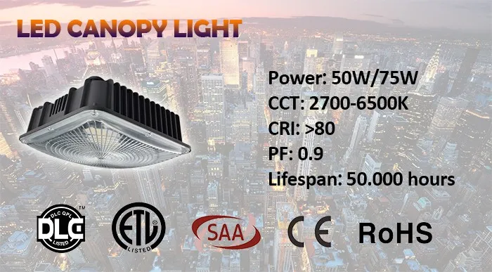 Main canopy light.jpg