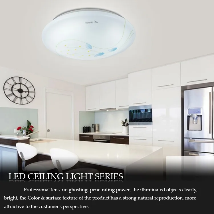 2017 new design flush mount ceiling light