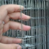 Cheap 75*50mm Electro Galvanized Welded Wire Mesh Roll for Corn