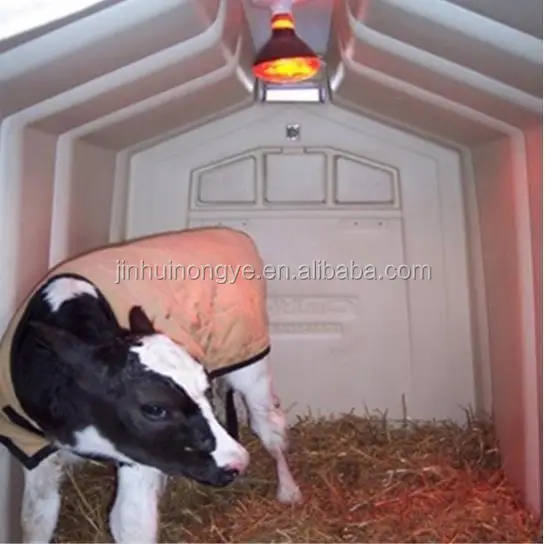 Calf Hutch For Sale/animal Husbandry Equipment Calf Hutch/modern Dairy