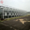 Agriculture Greenhouse for Farm