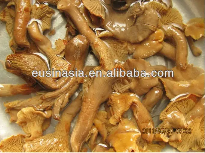 Brined golden chanterelle mushrooms in salt2.jpg