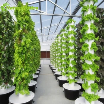 China Aeroponics Towers Garden Systems - Buy Aeroponics,Tower Garden ...