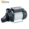 WPP450E Electric bathtub hot water circulation spa pump and filters 290L/min