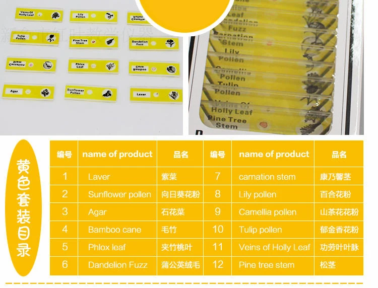 012 plastic microspoce prepared slides