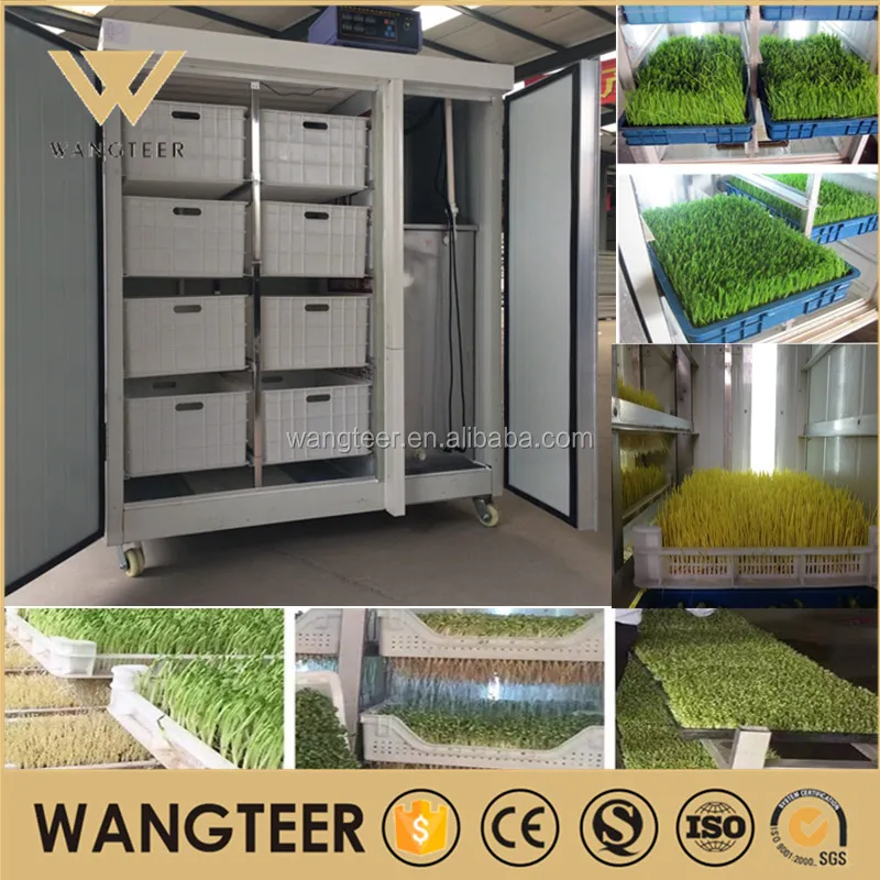 Bean Sprout Growing Machine 