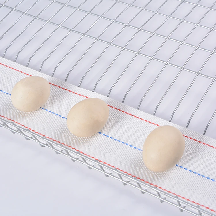Egg Conveyor Belt /egg Collecting Belt Of Polypropylene For Conveying