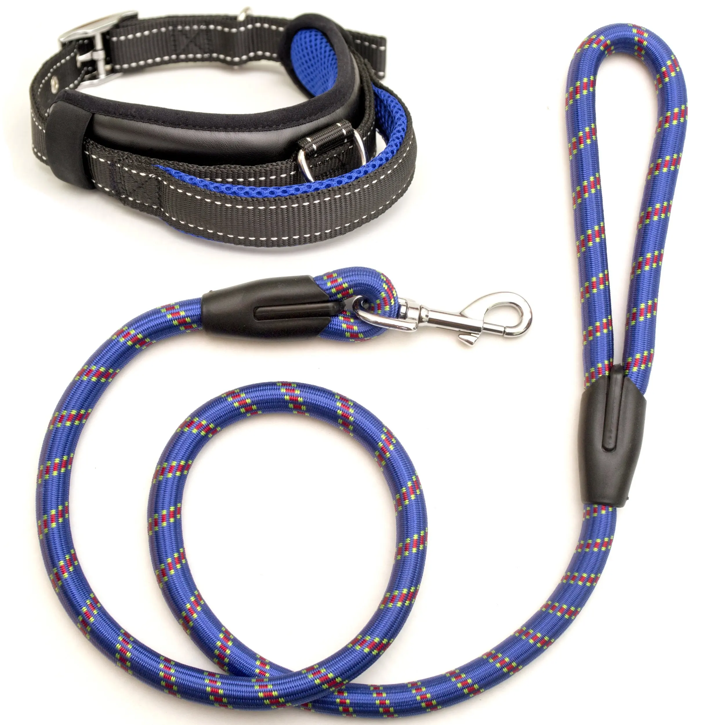 strong dog leash and collar