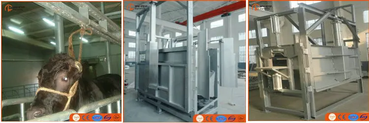 Cow Ritual Slaughterhouse Mechanical Buffalo Killing Box