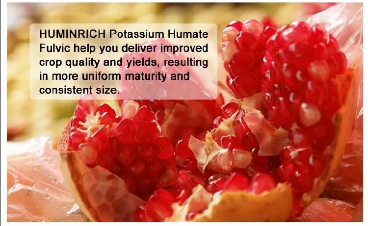 Humic Acid Fertilizer Thailand.jpg