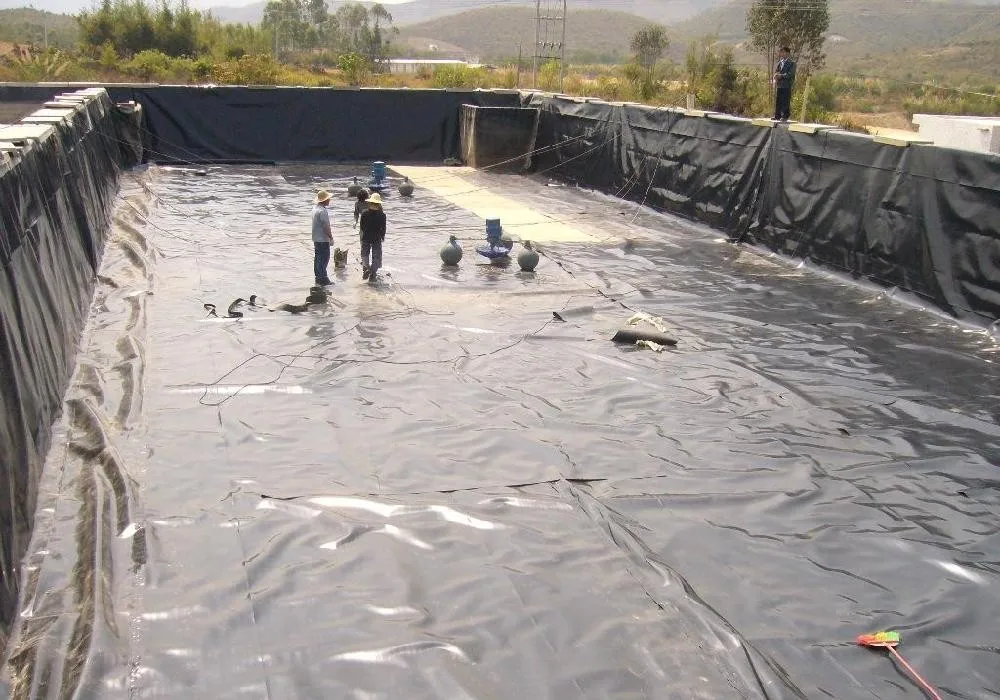 low price professional hdpe impermeable membrane for
