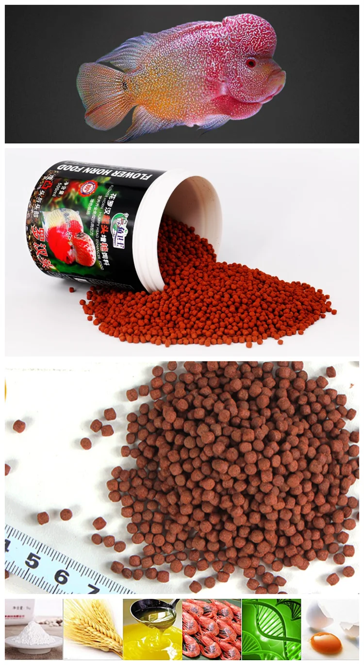 Wholesale Aquarium Koi King Fish Food Pellet Buy Koi Fish Food,King