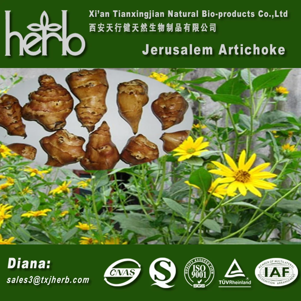 Jerusalem Artichoke Powder /jerusalem Artichoke Flour Buy Jerusalem
