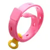 Dog Cat Pet Flea Collars Deworming Dog Collar