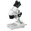 AmScope Supplies Sharp Stereo Microscope 20X & 40X Great for viewing insects, plants, rocks, stamps, coins, fabrics