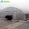 Commercial mushroom growing green house agriculture