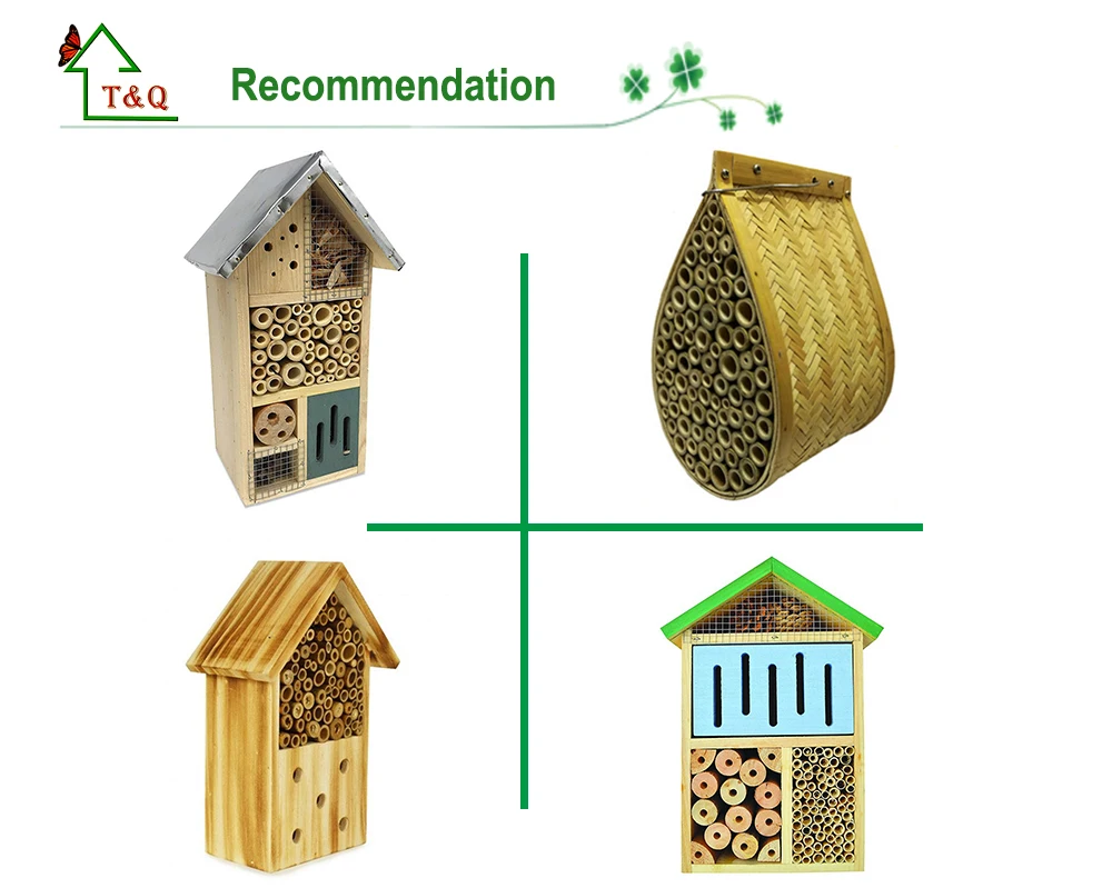 insect house recommend
