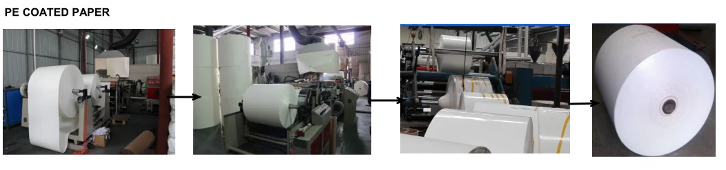 pe coated paper roll.png