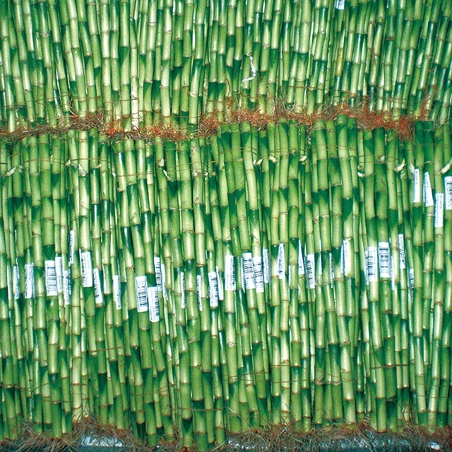 40cm straight bamboo,.jpg