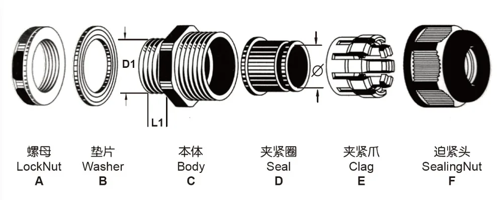 Multi Conductor Holes Cable Gland 