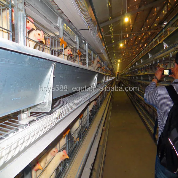 Galvanized Wire Mesh Stainless Steel Chicken Breeding Cages For Sale