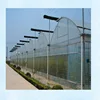 plastic film cover hydroponic greenhouse farm for sale