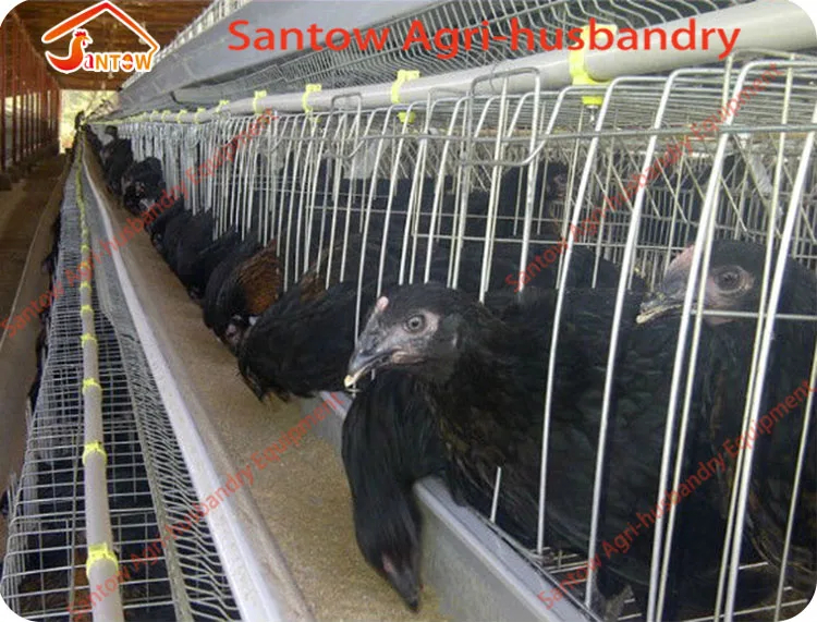 A Frame Chicken Layer Cages 3 Tiers Poultry Cage Rabbit Cage System For