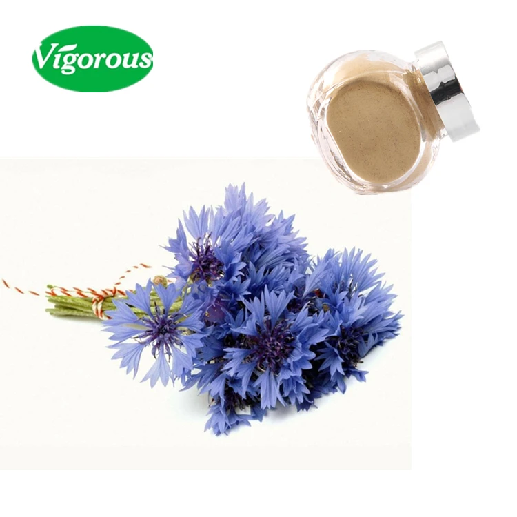Free Sample Gmp Factory Supply Powder Cornflower Extract Buy Iso