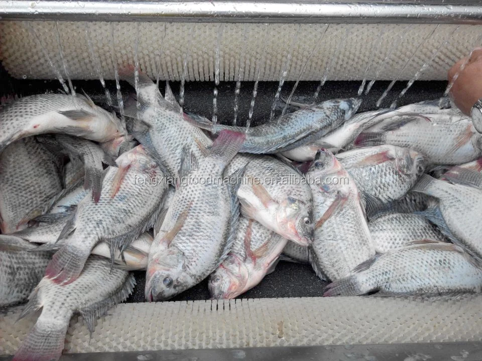 QQ20140821155326.jpg