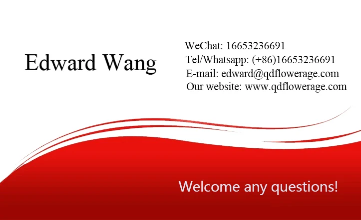 edward wang.jpg
