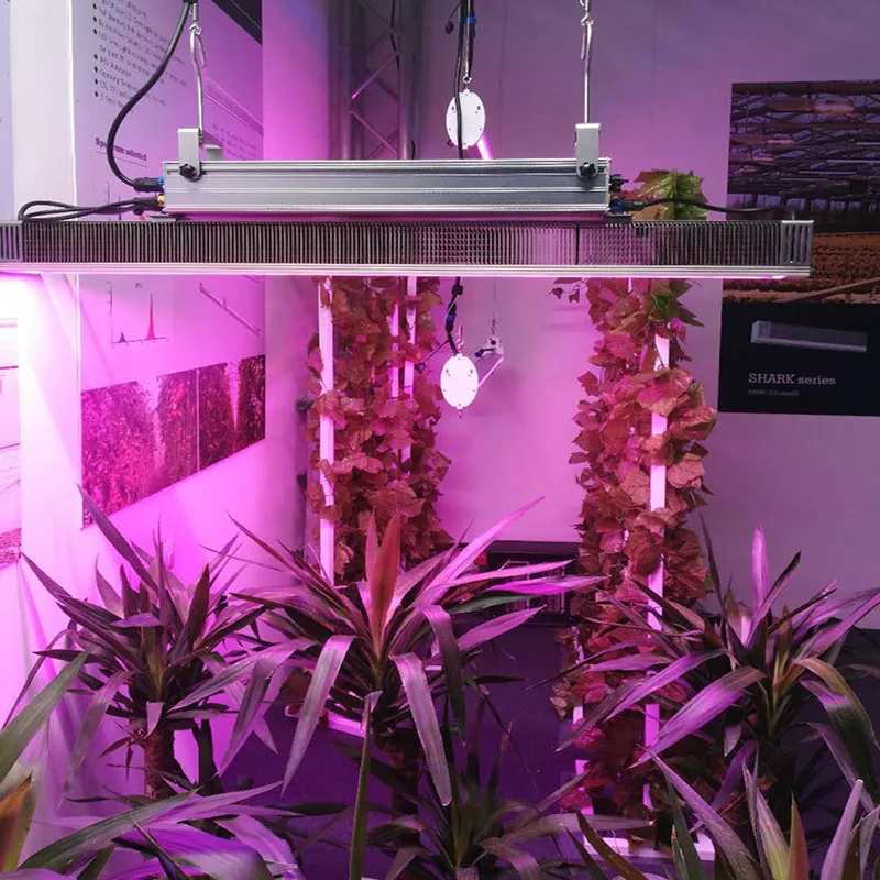 530W LED grow light high efficacy full spectrum for greenhouse to replace 1000W HPS