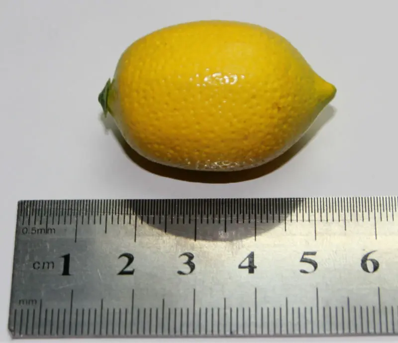 Lemon.JPG