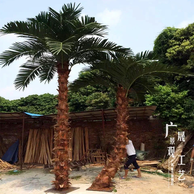palm tree (1).jpg