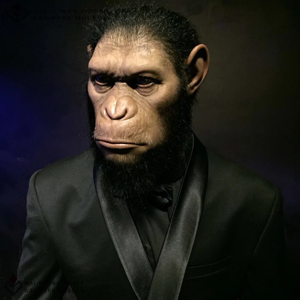 Hyperrealistic Lifelike Wax Statue Of Hero Caesar Statue For Wax Museum Buy Lifesize Wax