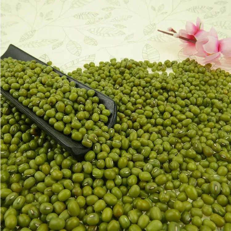 mung dal sprouts
