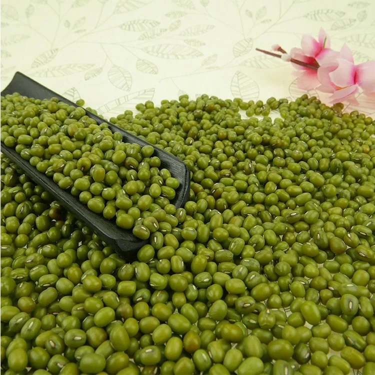 Organic Sprouting green mung beans