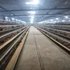 African top selling chicken poultry farm equipment best selling egg laying chicken cage